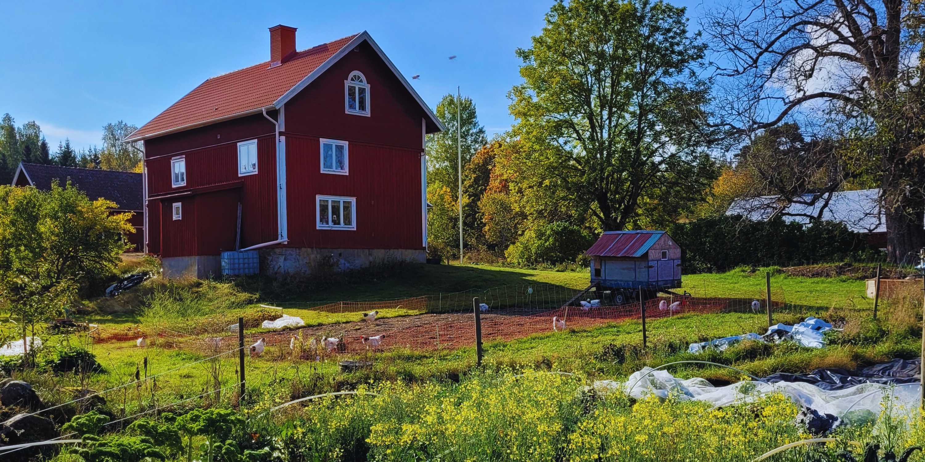 Rött hus i en slänt med odlingar i förgrunden.
