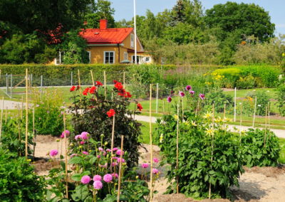 Trädgårdsdesign Grundkurs
