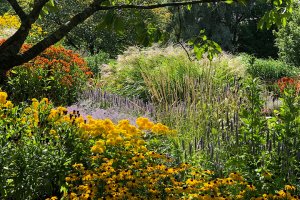 Blomsterhav i många färger