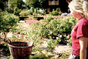 Ida kör skottkärra i trädgård och undervisar i trädgårdsdesign grundutbildning