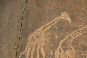 Forntida konst på sten, en giraff