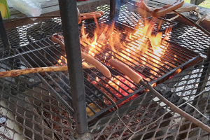 korvgrillning vid kurs uthålligt skogsbruk på din mark