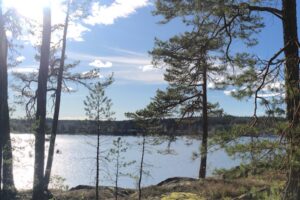 Sjö vid strandkant med träd