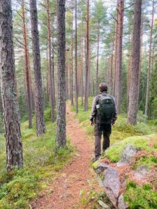 En man på skogspromenad i tallskogen