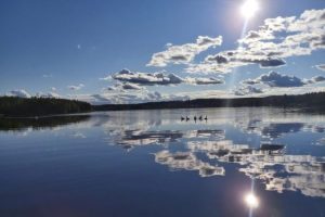 Solen skiner på en blå himmel med vita sommarmoln, sjön ligger blank. Några fåglar simmar i bakgrunden.