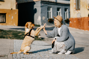 High five mellan en sittande kvinna med hatt och en sittande hund
