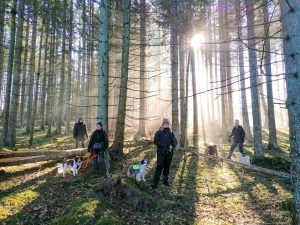 en grupp med människor står i skogen mellan träden, de har en varsin hund i koppel.