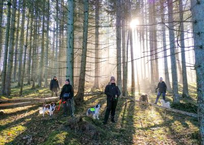 Hundtränare