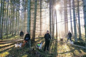Fyra personer med utekläder står i skogen. Alla har varsin hund.