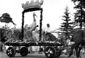 Svartvit bild, man åker häst med vagn. På vagnen står Tranås kommunvapen, en trana dekorerad med blommor.