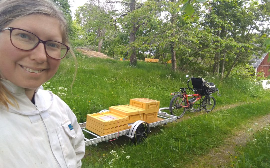 Kvinna med ljus hy och ljust hår med glasögon står i förgrunden med en vit biodlingsrock. I bakgrunden står en cykel med en kärra bakom med ramar på från bikupor.