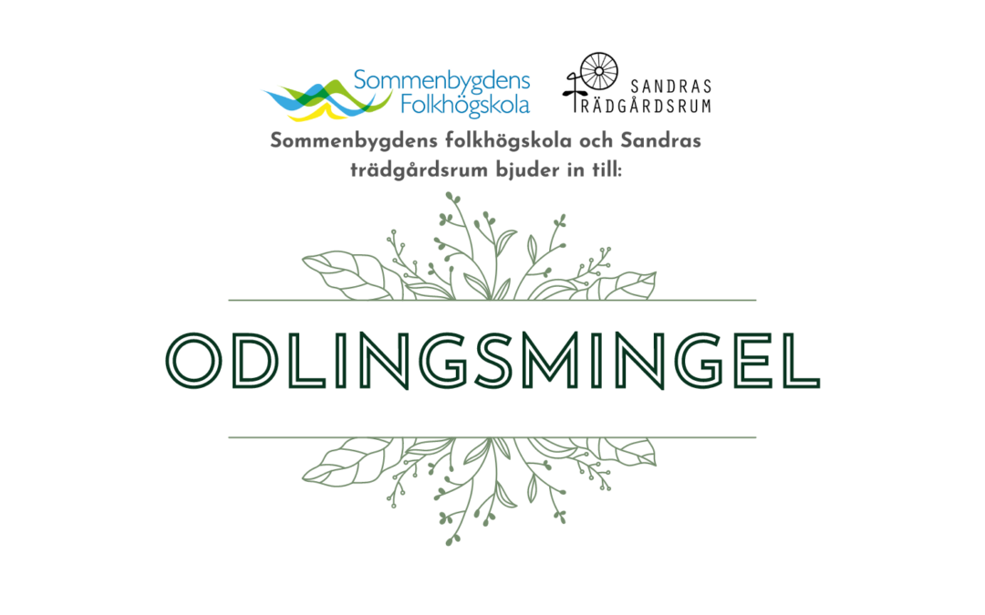 Odlingsmingel
