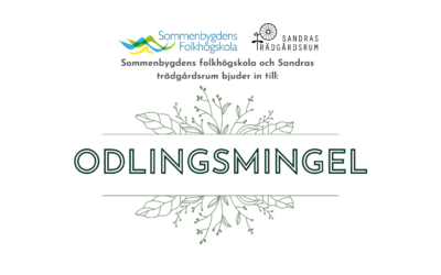 Odlingsmingel