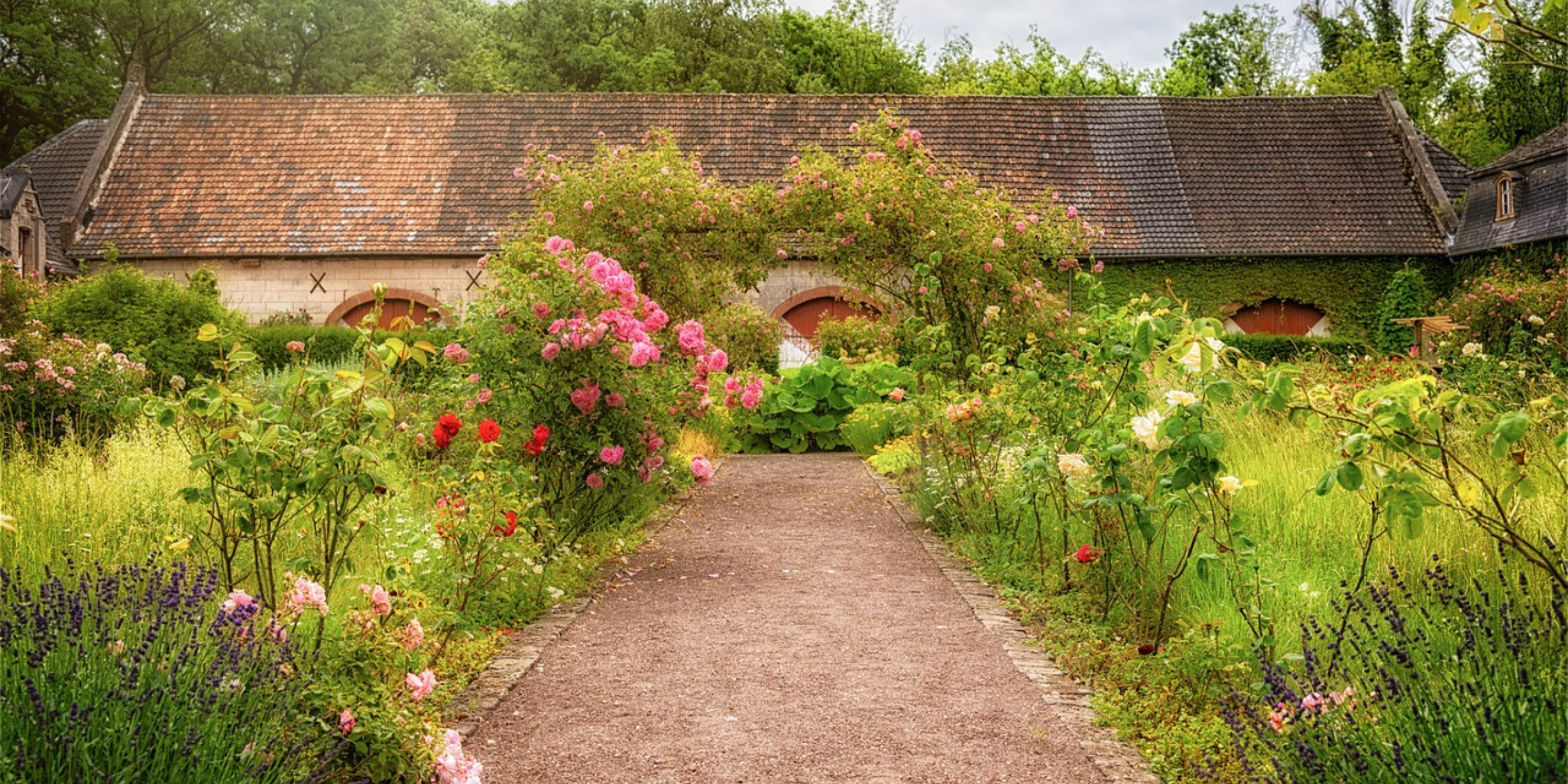 Förgrunden en grusgång som löper in i mitten av bilden. På varje sida en planterad rosrabatt. i Horisonten synd en äldre låg byggnad med tegeltak. Framför den står en rosportal.