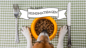 Hund som sitter vid matskål med kniv och gaffel.