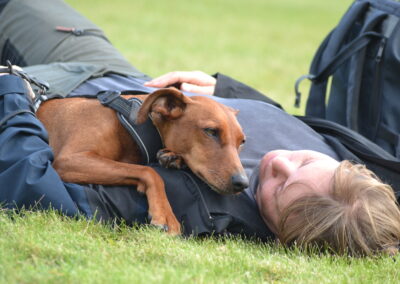 Hundtränare Pro (År 2)